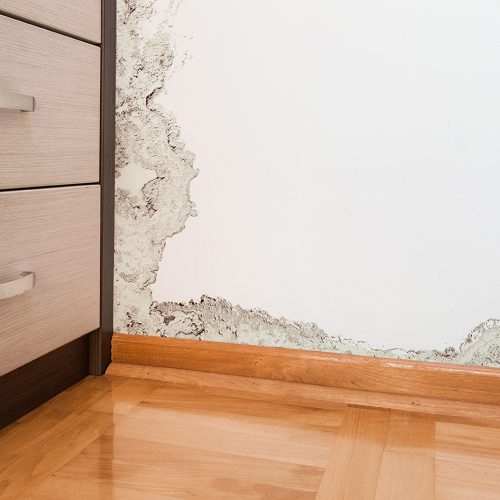 Mold and moisture buildup on wall of a modern house